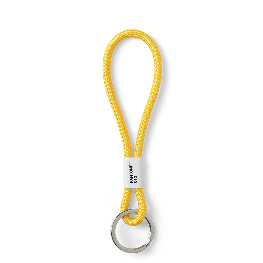Pantone Key Chain