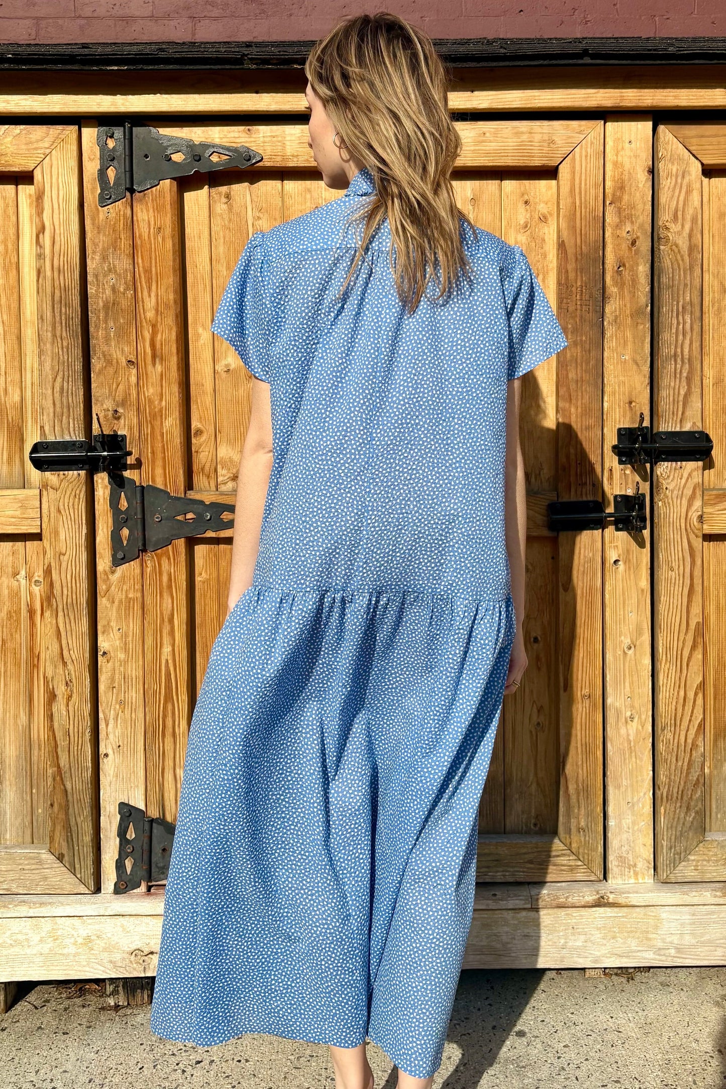 Jacqueline Dress in Cotton Pebble Print Dresses CHRISTINE ALCALAY