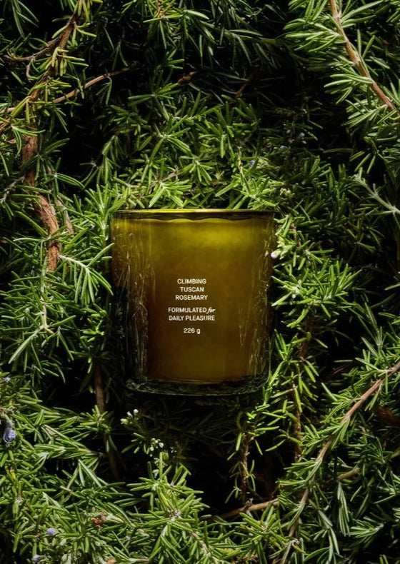 Climbing Tuscan Rosemary Candle Candles Flamingo Estate
