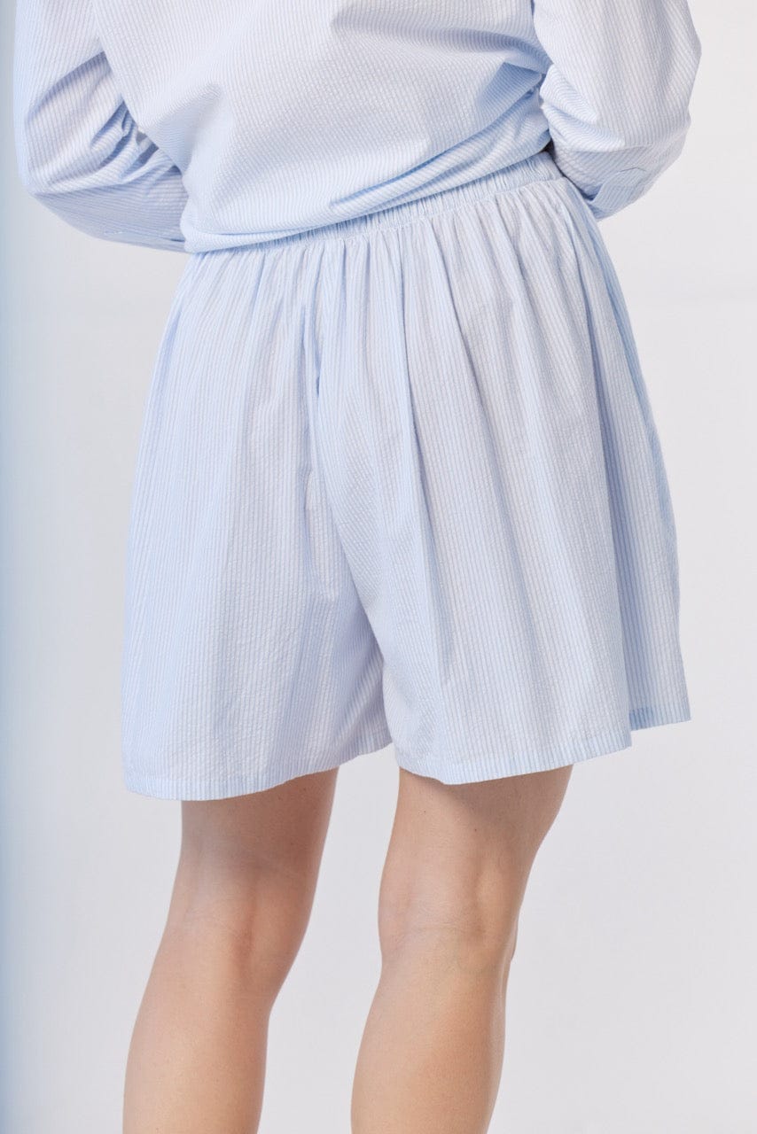 Gigi Shorts in Blue Stripe Seersucker Shorts CHRISTINE ALCALAY - 5