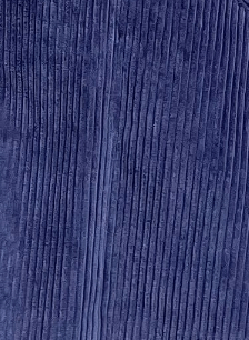 Zhenya Skirt in Corduroy Skirts CHRISTINE ALCALAY