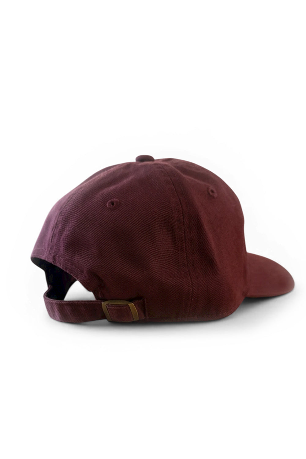 Neighborhood Cap, Park Slope Hats American Needle
