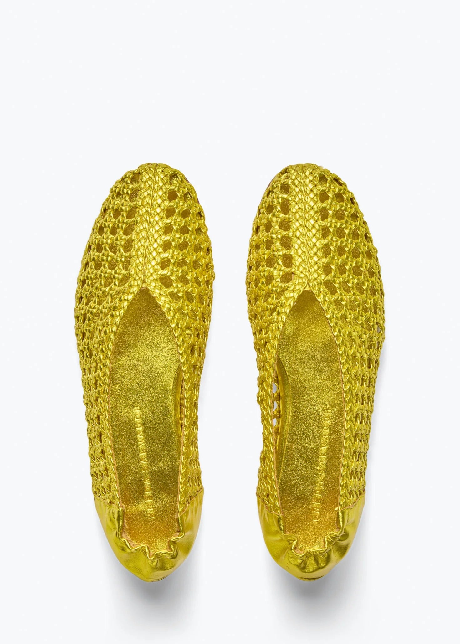 Riley Ballet Flat Shoes FRĒDA SALVADOR