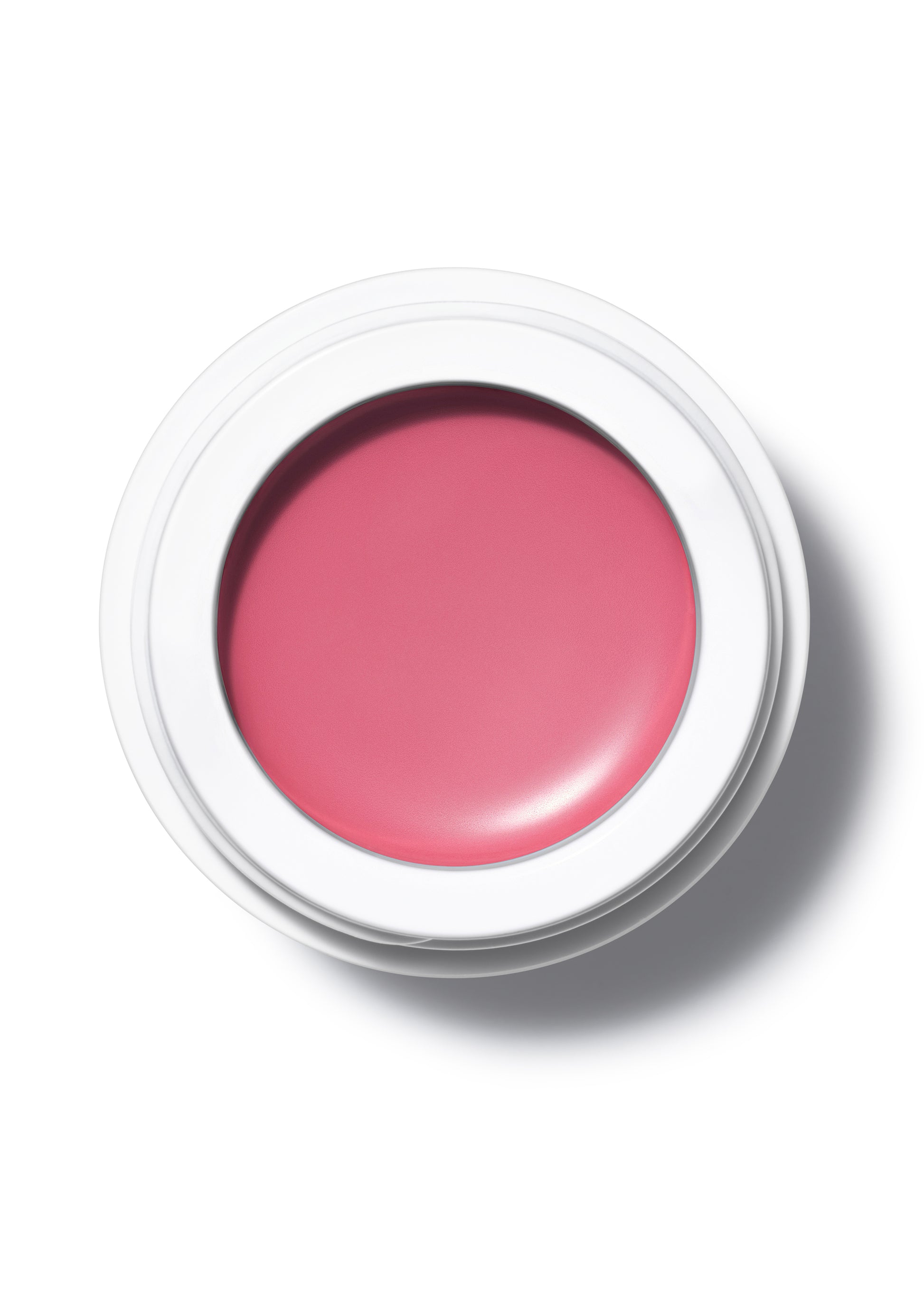 All Over Color Makeup manasi 7 Dianthus