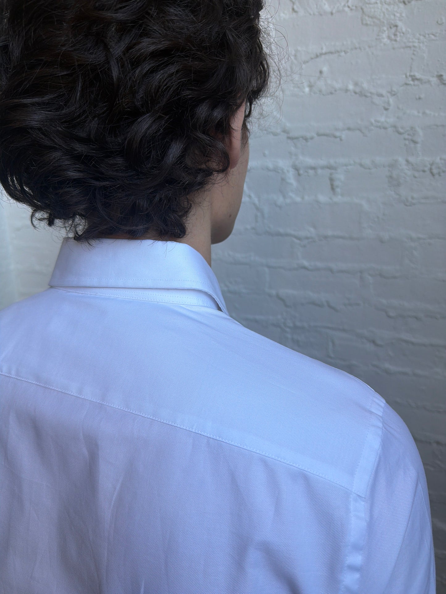 Dress Shirt Shirts fig.