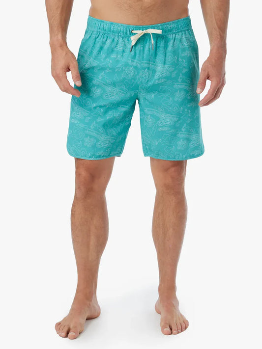 Anchor 8" Swim Trunks Swim Fair Harbor