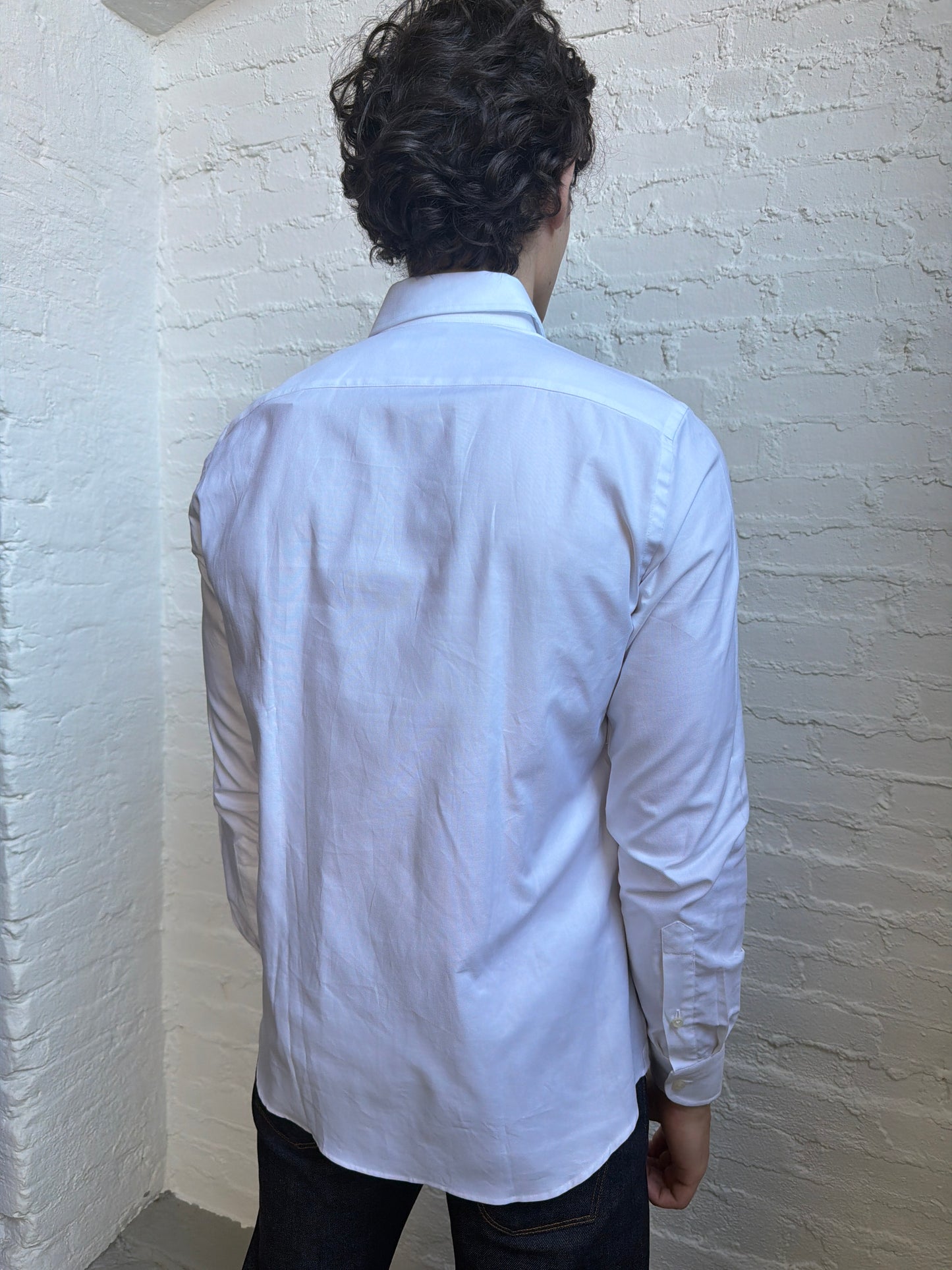 Dress Shirt Shirts fig.