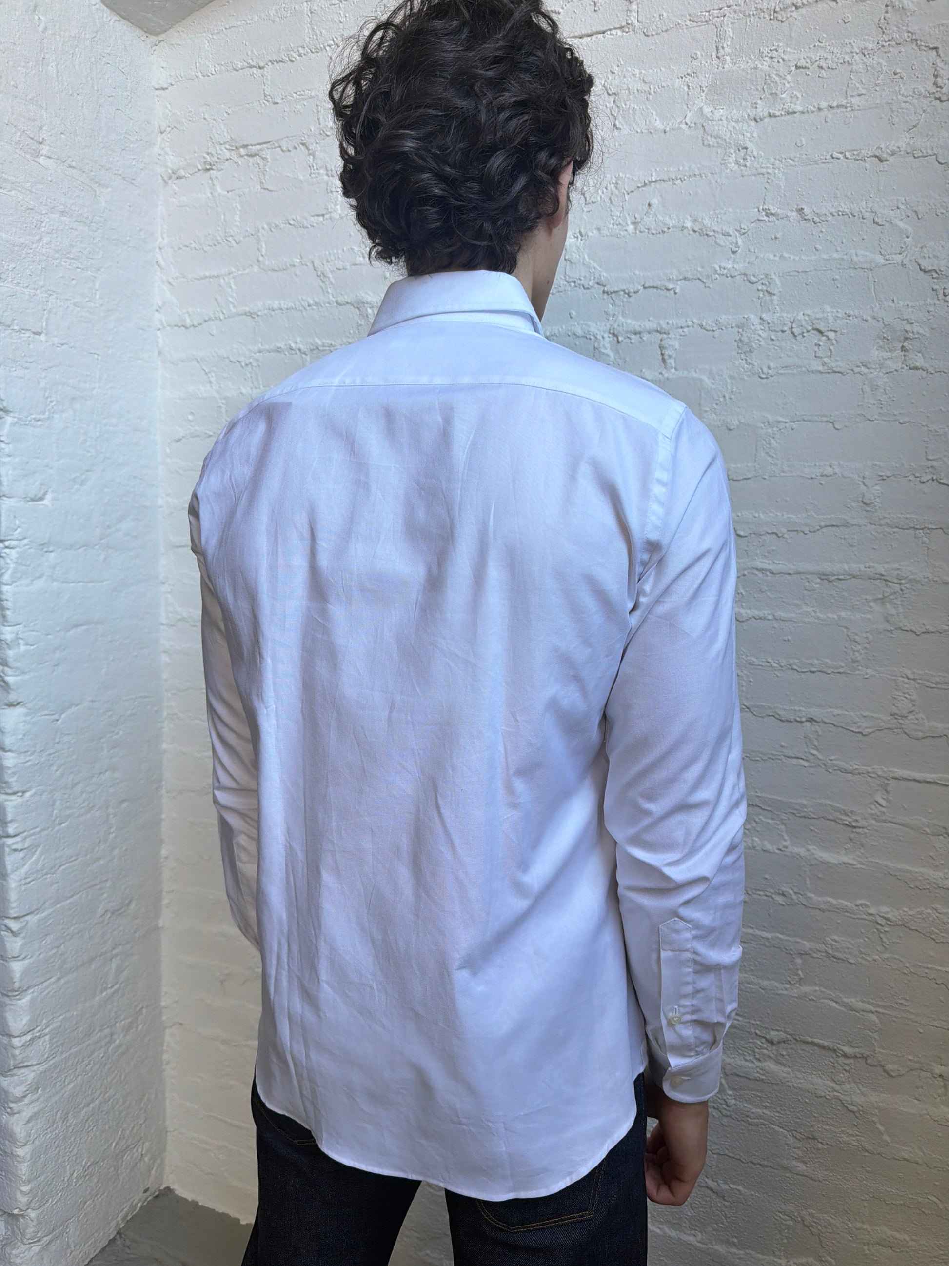 Dress Shirt Shirts fig.