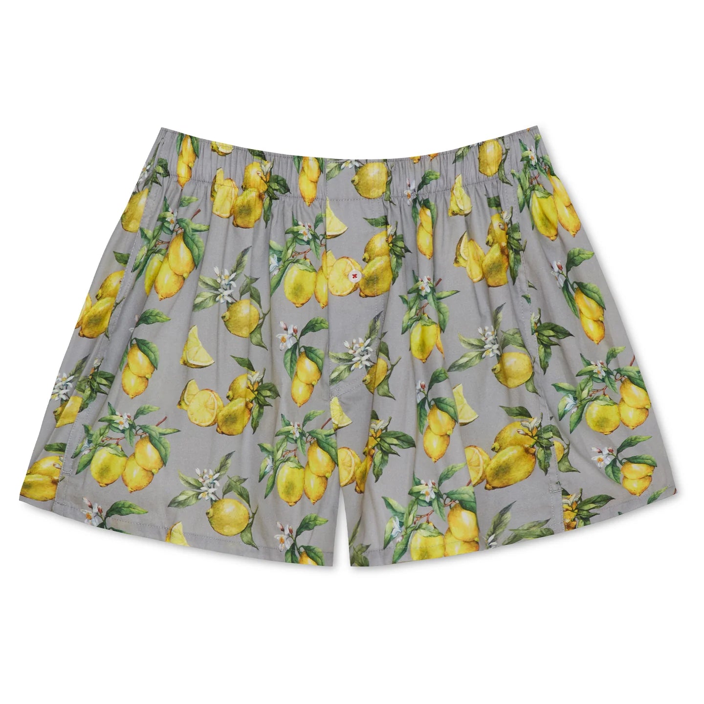 Organic Cotton Boxer Underwear Druthers Watercolor Lemons S 
