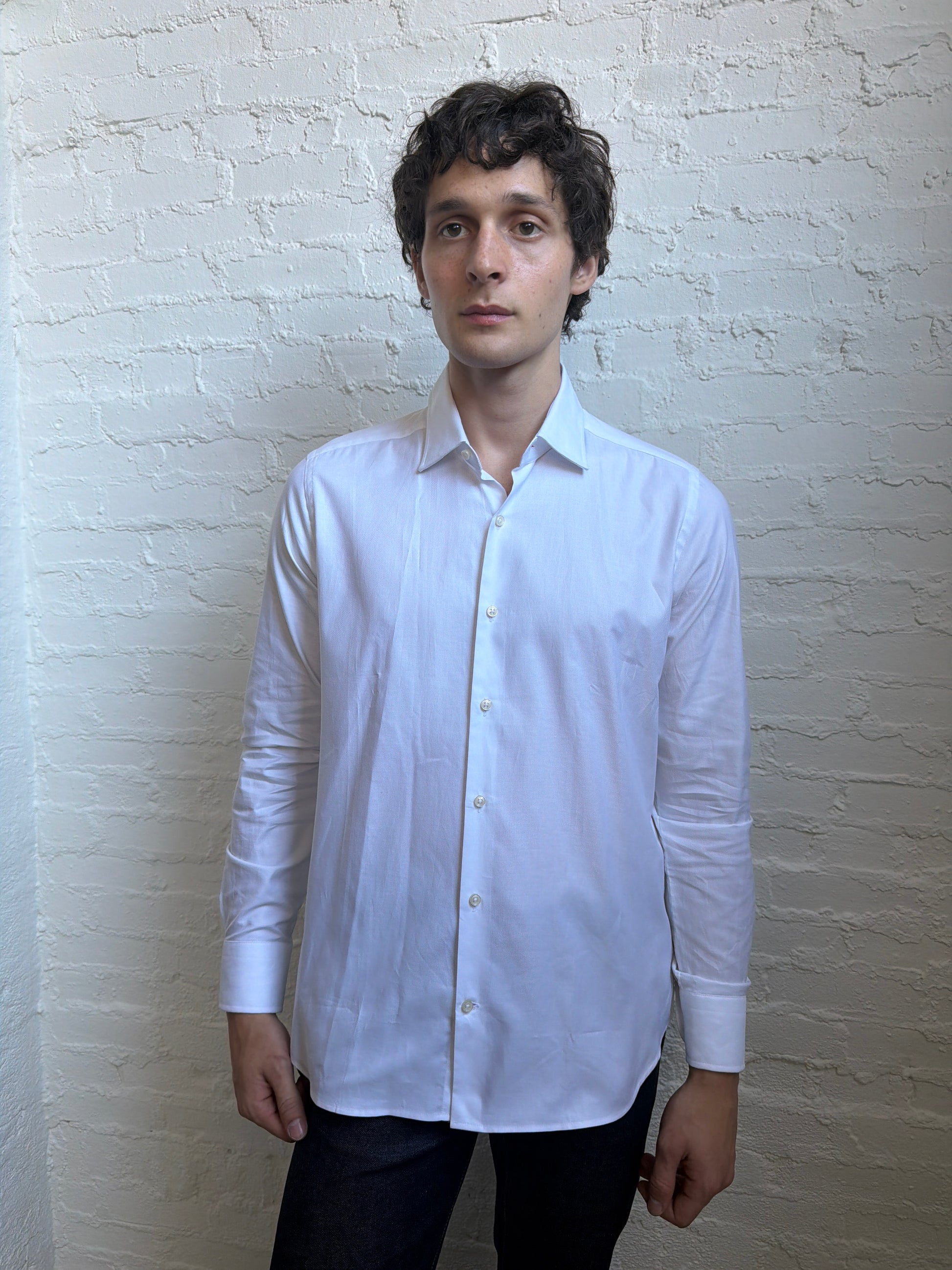Dress Shirt Shirts fig.