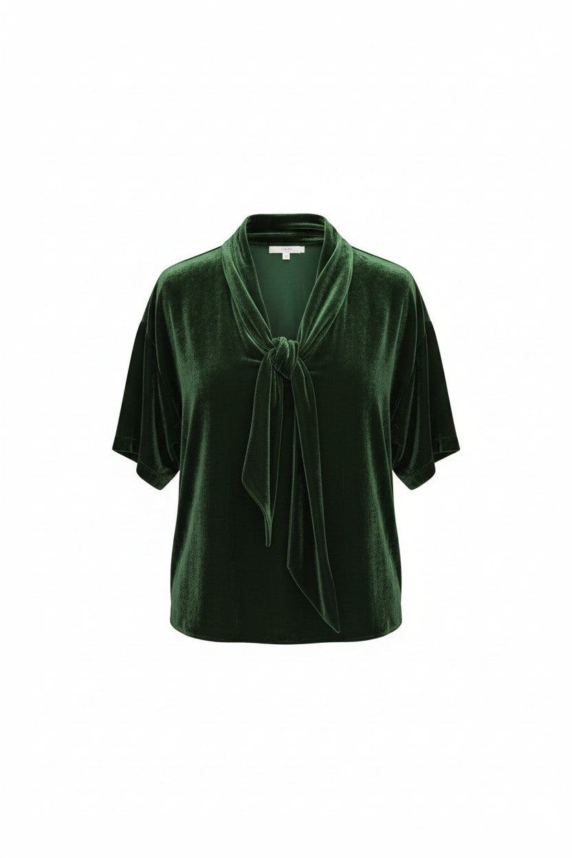 Betty Blouse in Silk Velvet