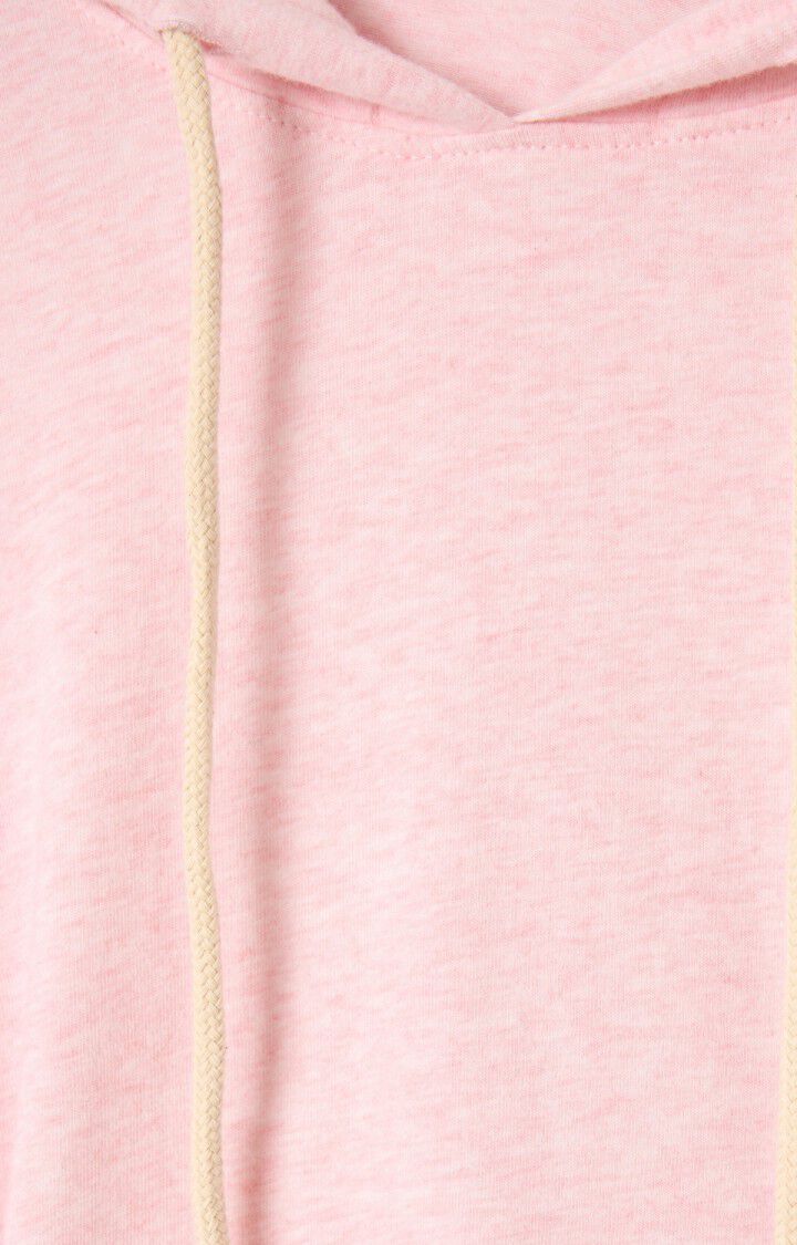 Ypawood Hoodie Sweatshirts AMERICAN VINTAGE