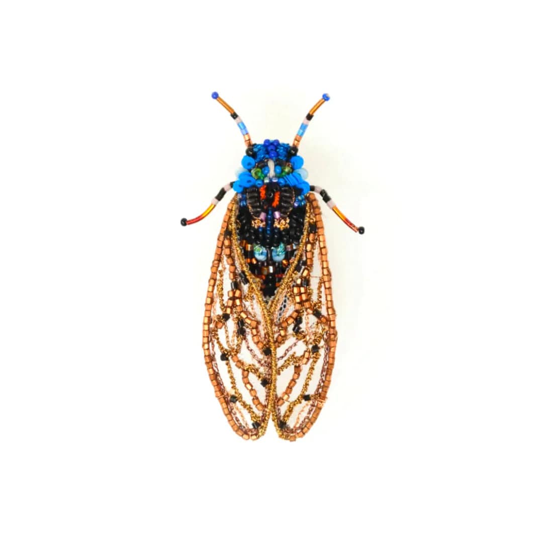 Periodical Cicada Brooch Pin Accessories Trovelore   