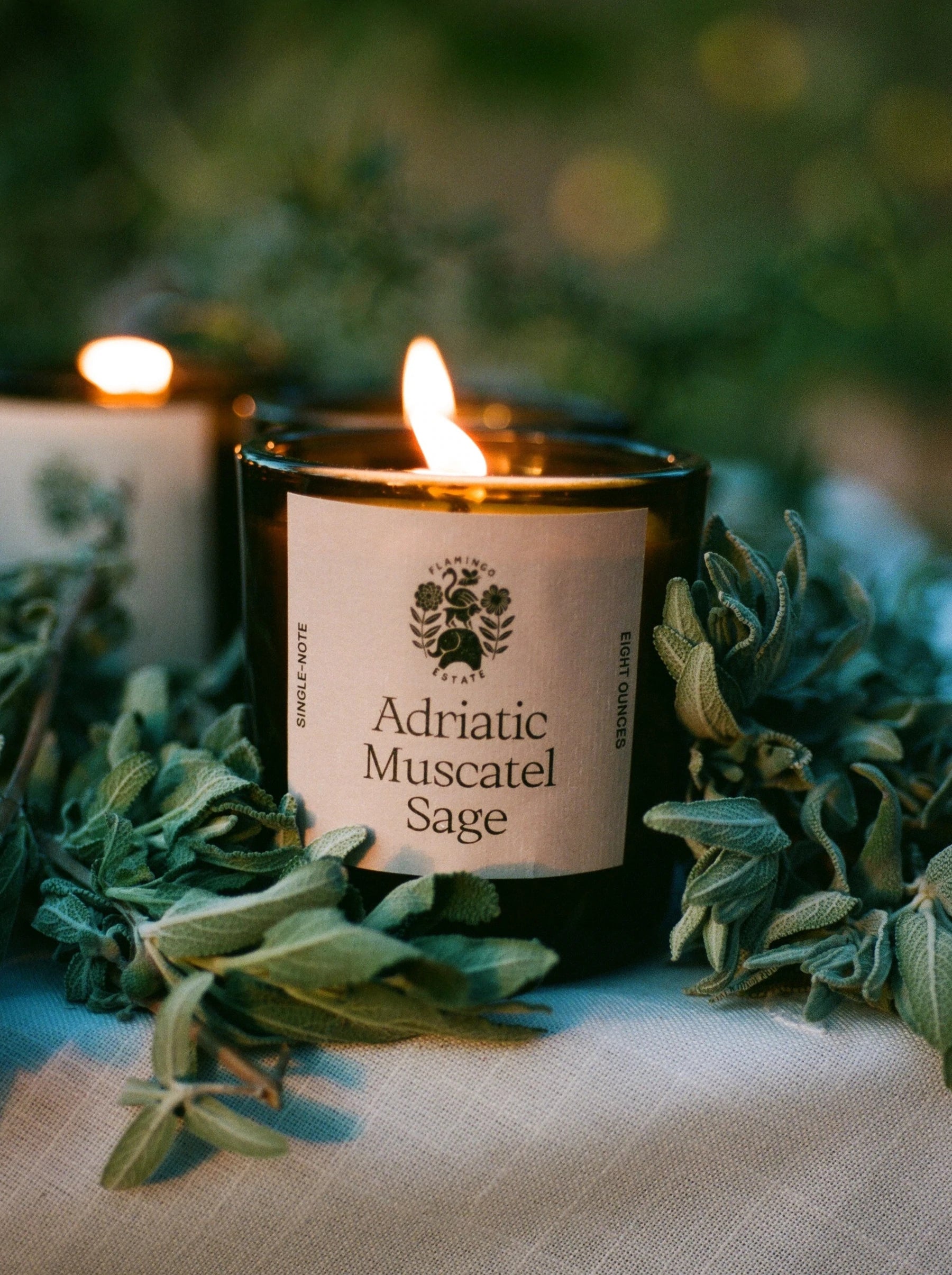 Adriatic Muscatel Sage Candle Candles Flamingo Estate Adriatic Muscatel Sage  